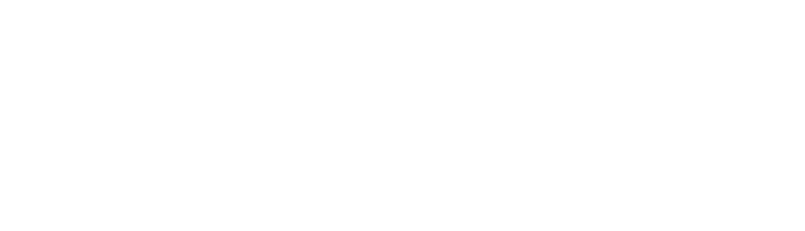 NT SERVICES